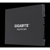 SSD GigaByte UD PRO GP-GSTFS30256GTTD GP-GSTFS30256GTTD