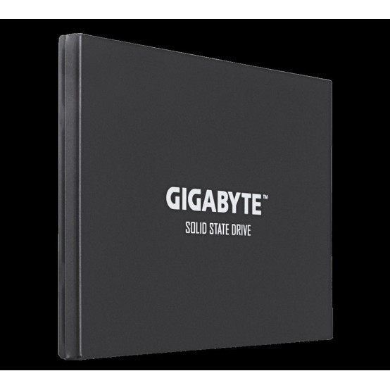 SSD GigaByte UD PRO GP-GSTFS30256GTTD GP-GSTFS30256GTTD