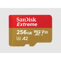 Card memorie SanDisk Extreme microSDXC UHS-I SDSQXAV-256G-GN6MA