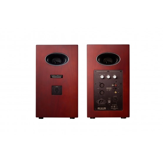 Boxe Airpulse  A200-CH