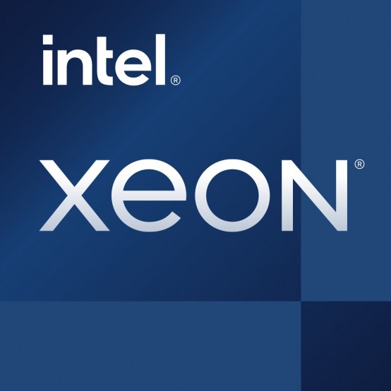 Procesor Intel Xeon E-2388G Tray CM8070804494617