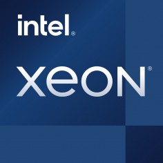 Procesor Intel Xeon E-2386G Tray CM8070804494716