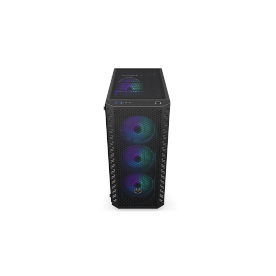 Carcasa ENDORFY Signum 300 ARGB EY2A006