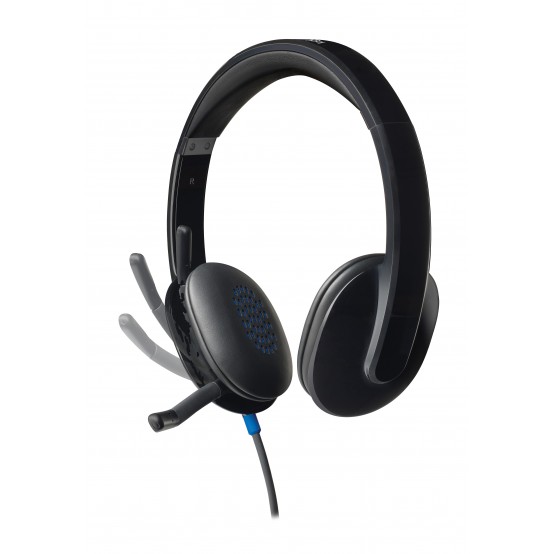 Casca Logitech USB Headset H540 981-000480