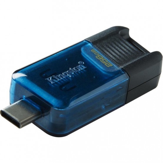 Memorie flash USB Kingston DataTraveler 80 M USB Type-C DT80M/256GB
