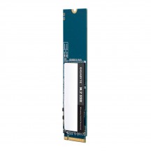 SSD GigaByte  GM2500G