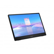 Monitor MSI  PRO MP161