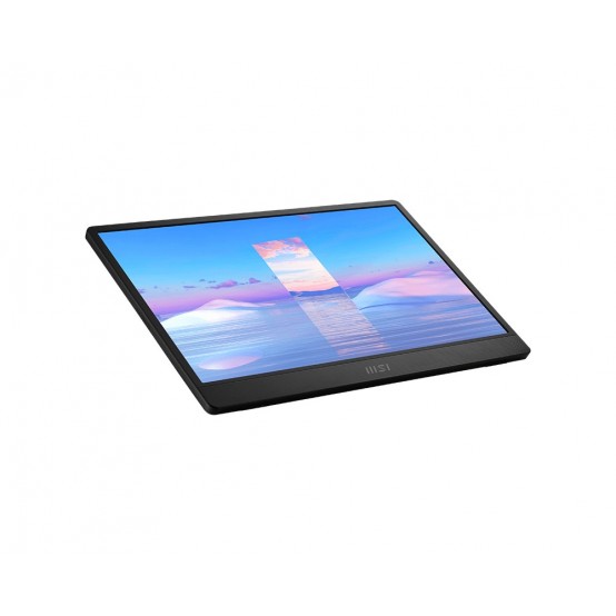 Monitor MSI  PRO MP161