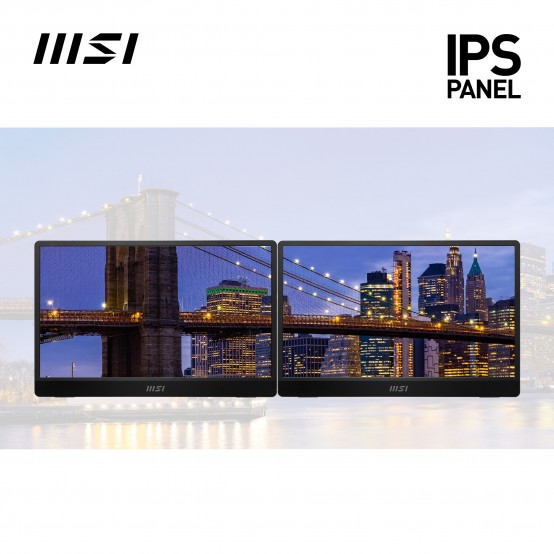 Monitor MSI  PRO MP161