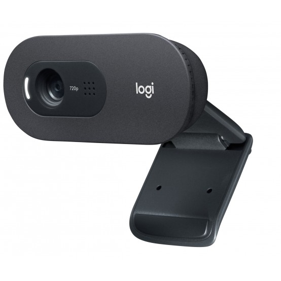 Camera web Logitech C505 HD Webcam with Long Range Microphone 960-001364