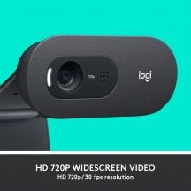 Camera web Logitech C505 HD Webcam with Long Range Microphone 960-001364