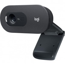 Camera web Logitech C505E