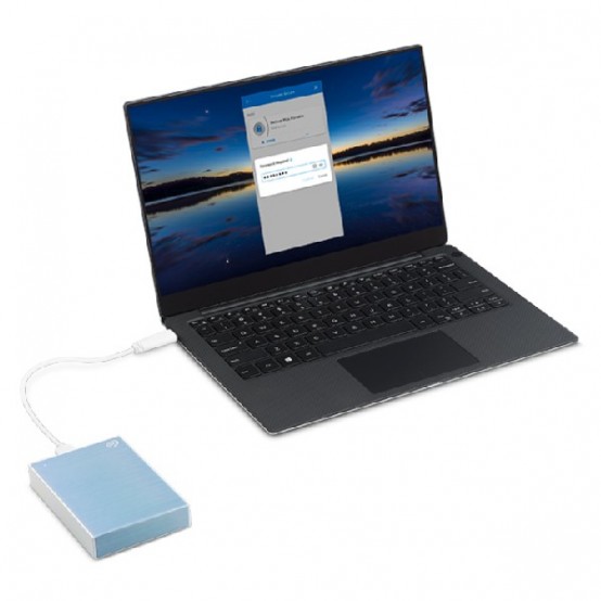 Hard disk Seagate One Touch STKY2000402