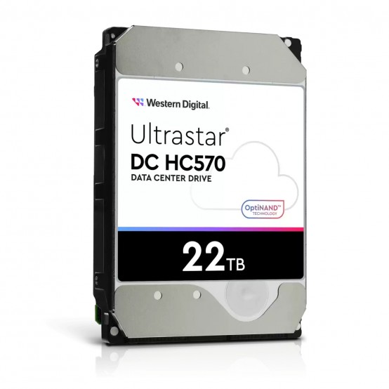 Hard disk Western Digital Ultrastar HC570 0F48155