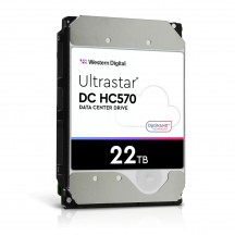 Hard disk Western Digital Ultrastar HC570 0F48155