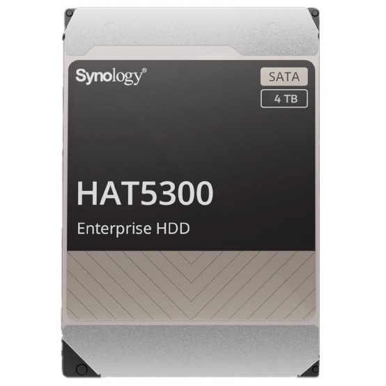Hard disk Synology Enterprise Series HAT5300-4T