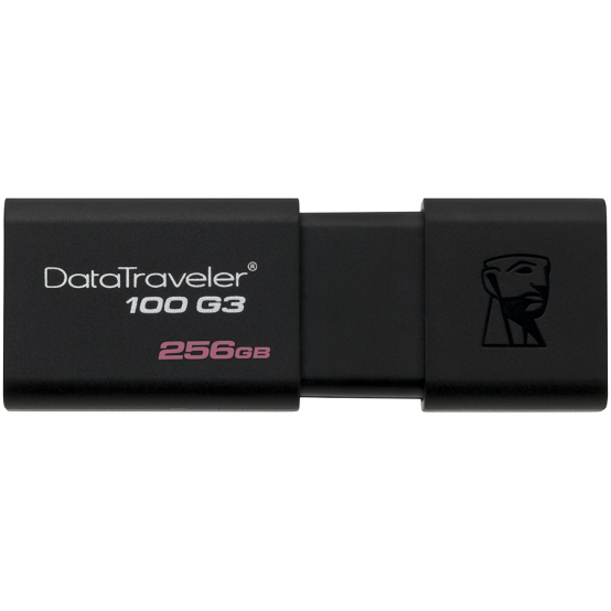 Memorie flash USB Kingston DataTraveler 100 G3 DT100G3/256GB