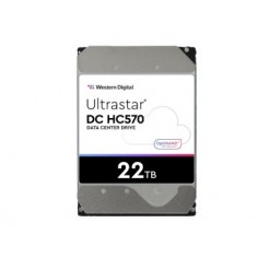 Hard disk Western Digital Ultrastar DC HC570 0F48154