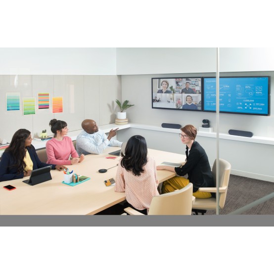 Boxe Logitech Rally Speaker for Video Conferencing Graphite 960-001230