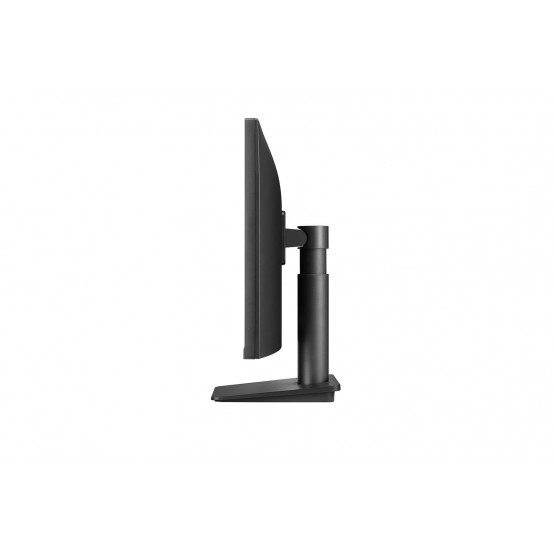 Monitor LG  24MP450P-B