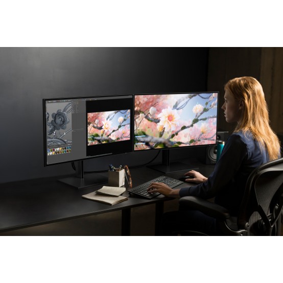 Monitor HP Z25xs G3 1A9C9AAABB