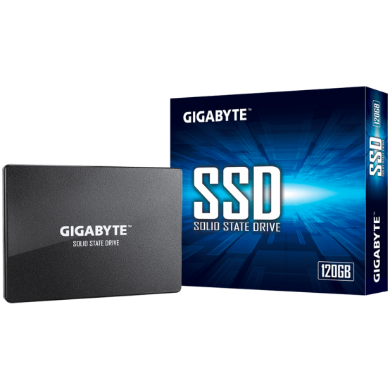 SSD GigaByte GP-GSTFS31120GNTD
