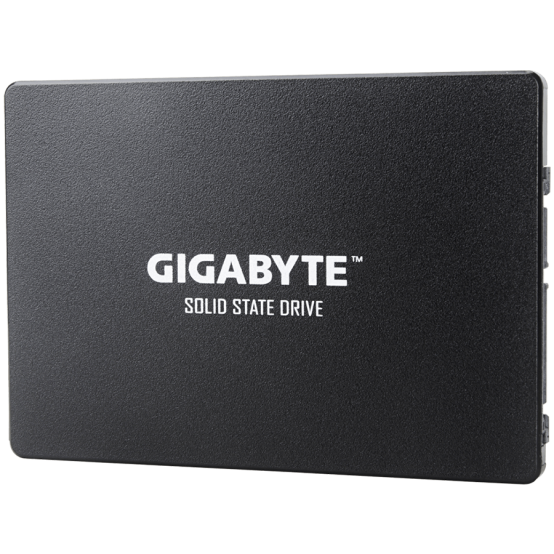 SSD GigaByte GP-GSTFS31120GNTD