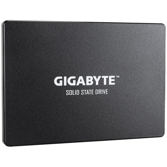 SSD GigaByte GP-GSTFS31120GNTD