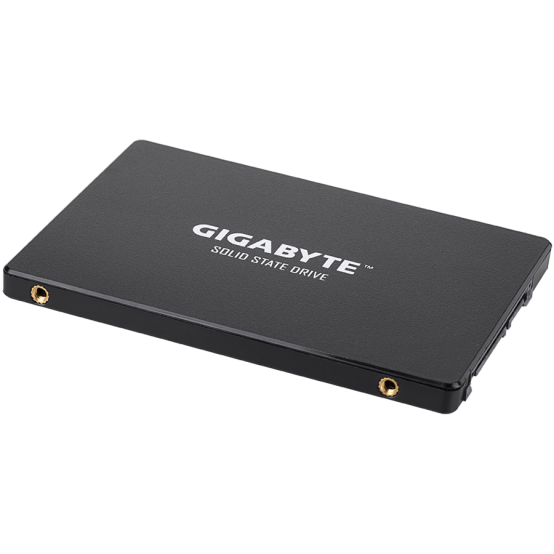SSD GigaByte GP-GSTFS31120GNTD