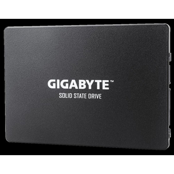 SSD GigaByte GP-GSTFS31240GNTD