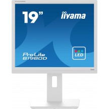Monitor iiyama  B1980D-W5