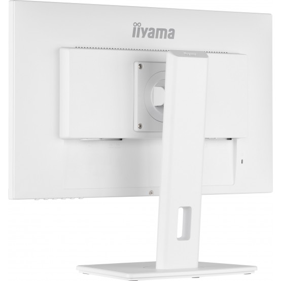 Monitor iiyama  XUB2492HSU-W5