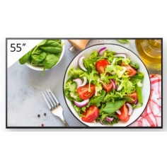 Monitor Sony  FW-55BZ35L