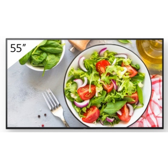 Monitor Sony  FW-55BZ35L