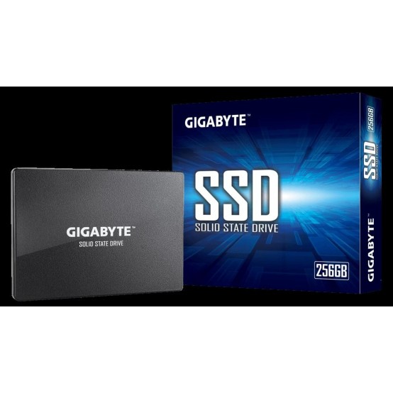 SSD GigaByte GP-GSTFS31256GTND