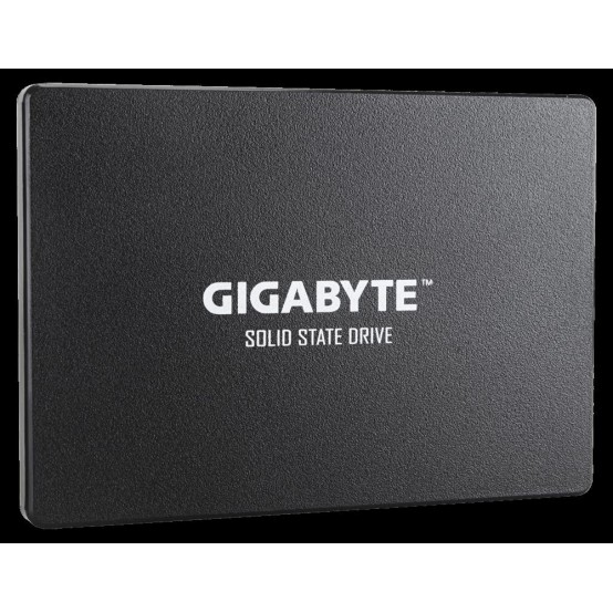SSD GigaByte GP-GSTFS31256GTND