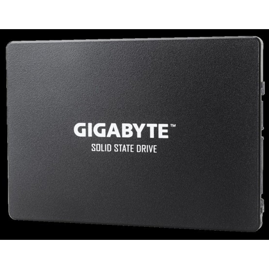 SSD GigaByte GP-GSTFS31256GTND