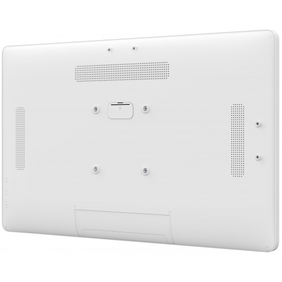Monitor iiyama  TW2424AS-W1
