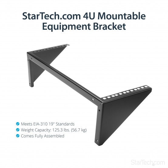 Cabinet StarTech.com  RK419WALLV
