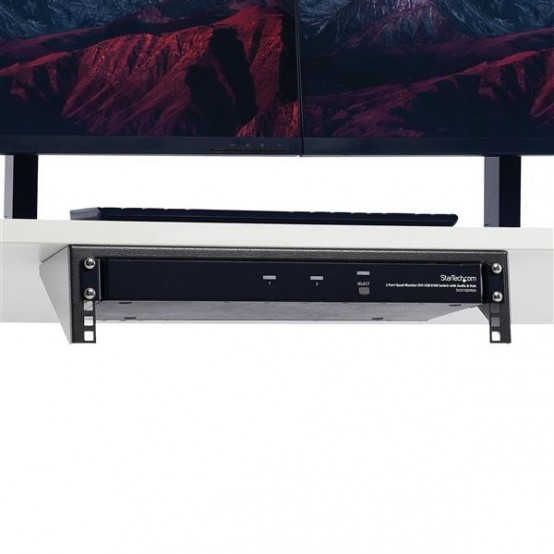 Cabinet StarTech.com  RK219WALLV