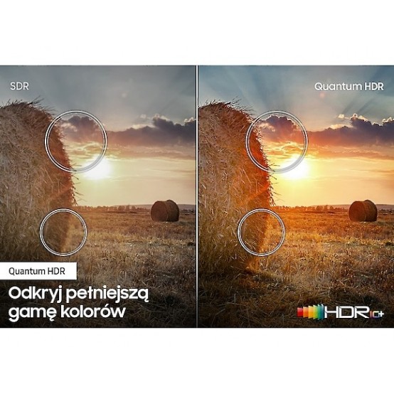 Televizor Samsung  QE65Q60TAUXXH