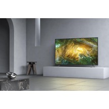 Televizor Sony  KD49XH8077SAEP