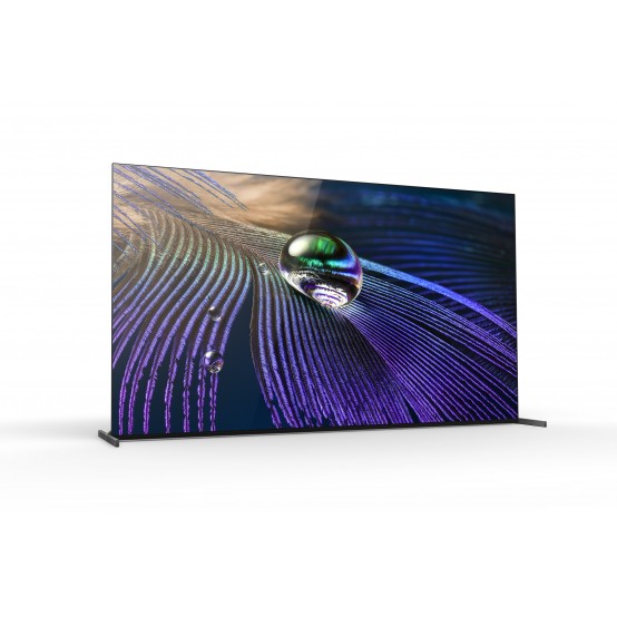 Televizor Sony  XR55A90JAEP