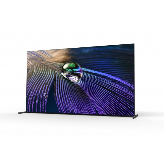 Televizor Sony  XR55A90JAEP