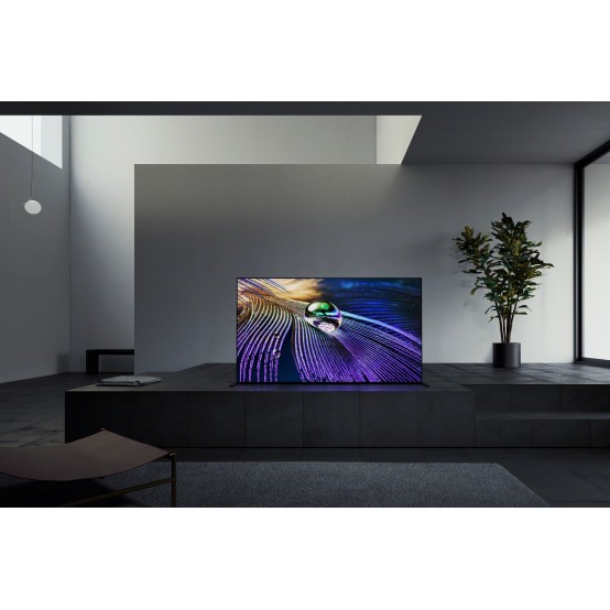 Televizor Sony  XR55A90JAEP