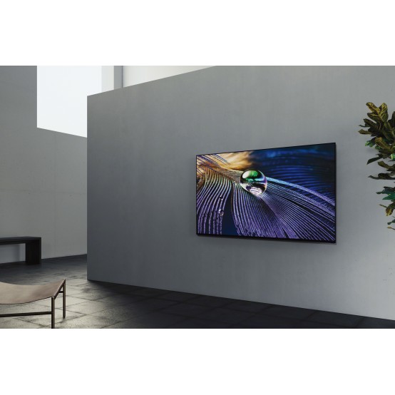 Televizor Sony  XR55A90JAEP