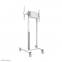 Suport Neomounts  FL55-875WH1