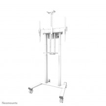 Suport Neomounts  FL55-875WH1