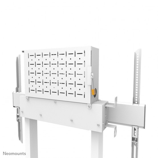 Suport Neomounts  WL55-875WH1
