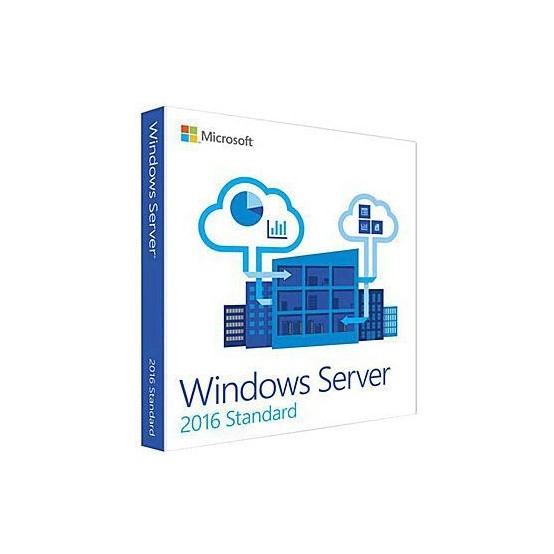 Aplicatie Microsoft Windows Server 2016 Standard P73-07113